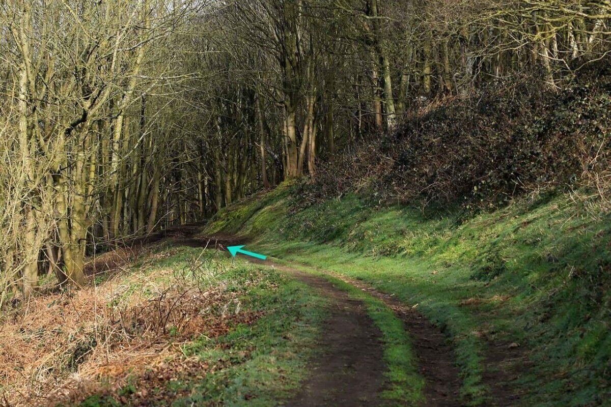 Around Worcestershire Beacon Walk