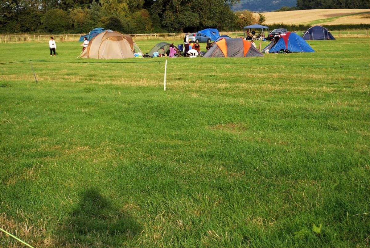 Bluebell Camping 2