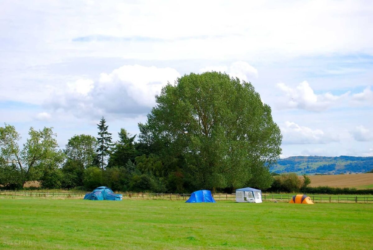 Bluebell Camping 4