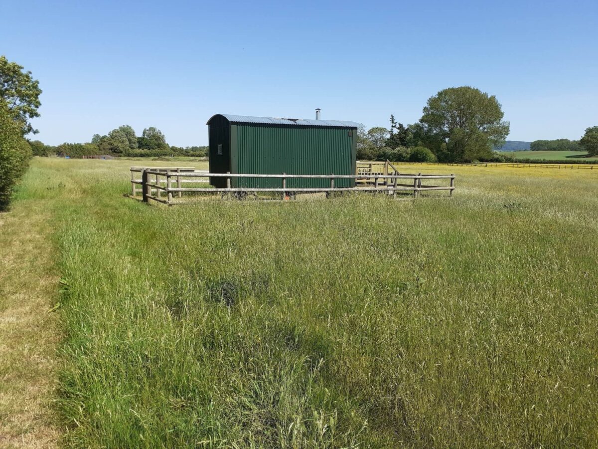 Bluebell Shepherds Hut 2