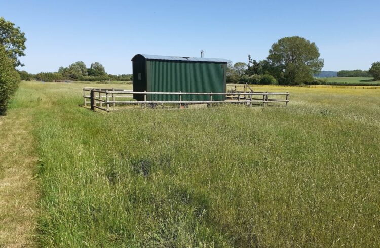 Bluebell Shepherds Hut 2