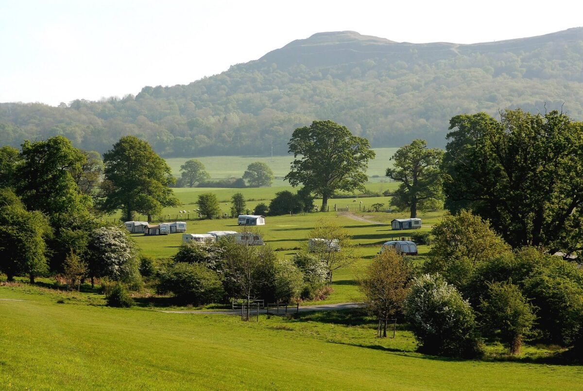 Eastnor Castle Deer Park 3