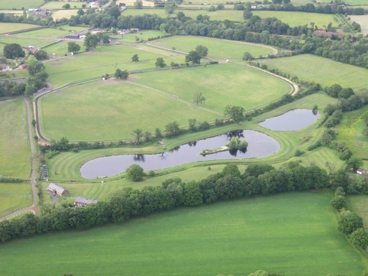 Forest Fern Lodge at Broad Oak 5