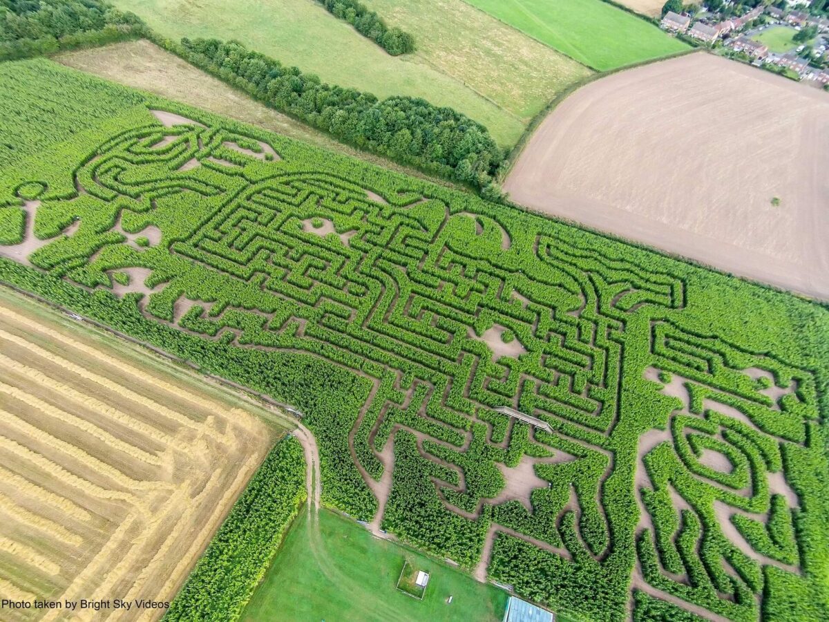 Great Worcester Maize Maze 2