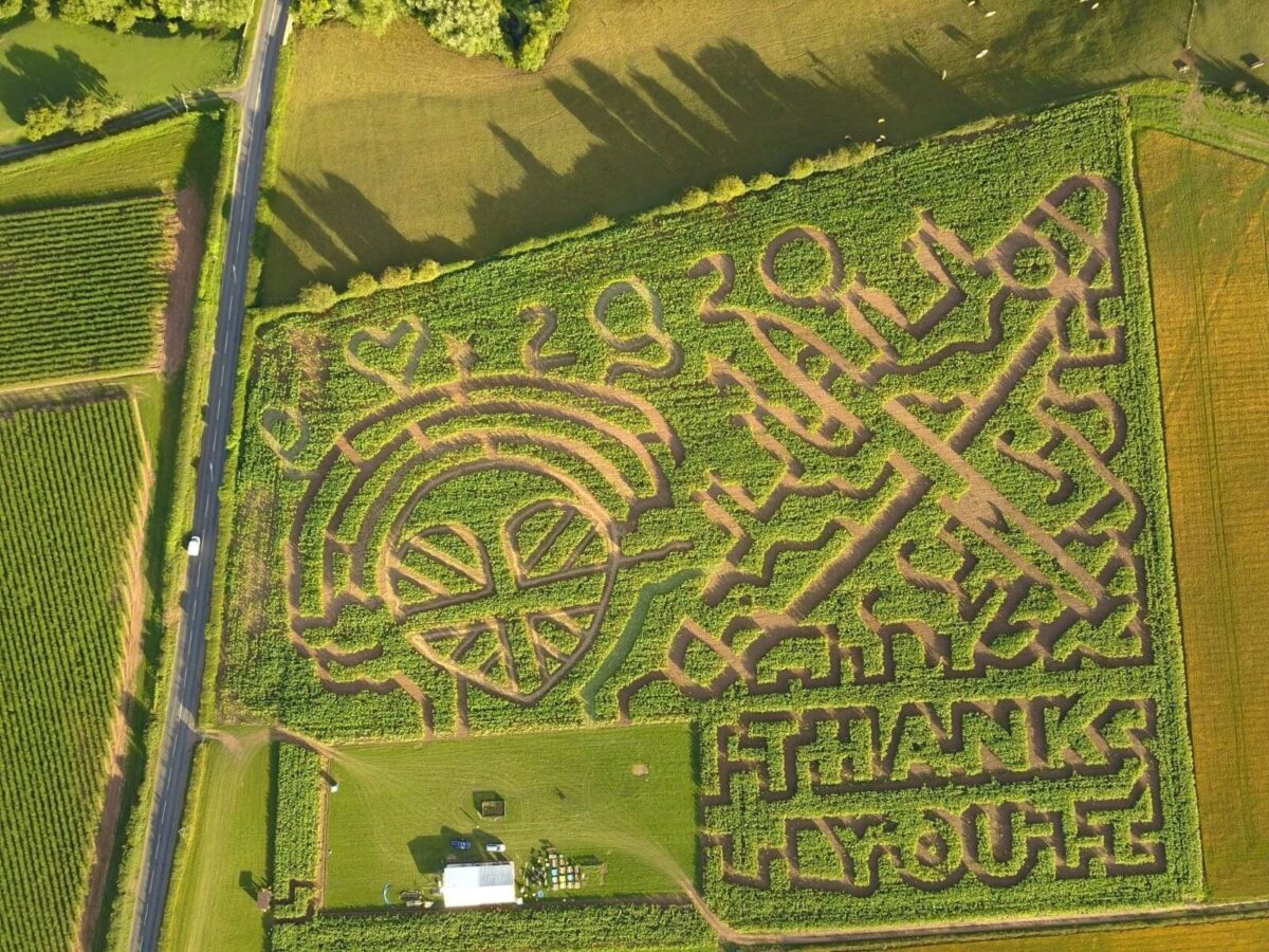 Great Worcester Maize Maze 4