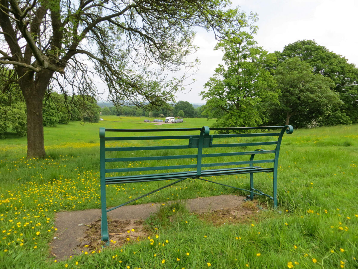 Link Comon Bench