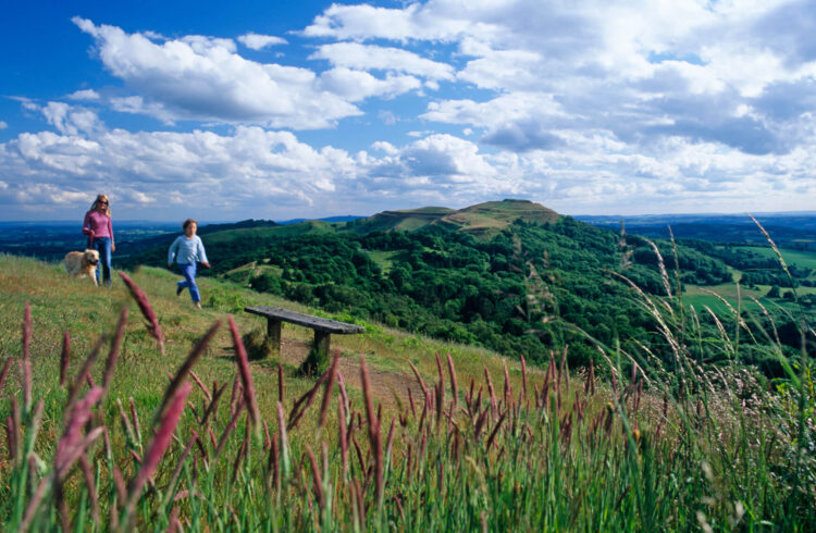 Malvern Hills Family Bench