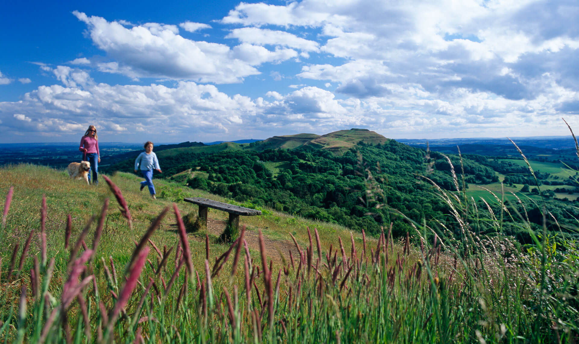 Malvern Hills Family Bench