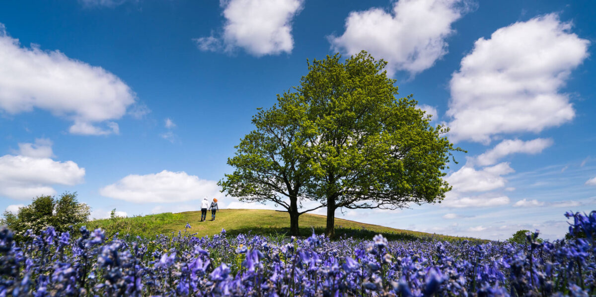 Malvern Hills Walkers Holding Hands Copyright Jan Sedlacek