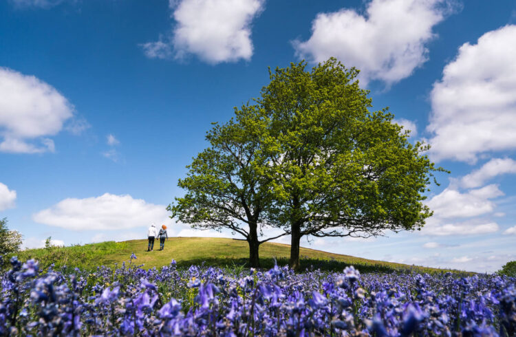 Malvern Hills Walkers Holding Hands Copyright Jan Sedlacek