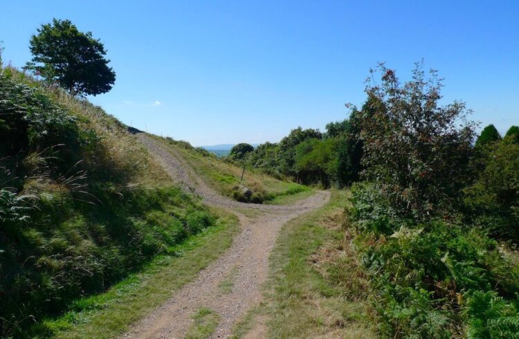 North Hill Trail