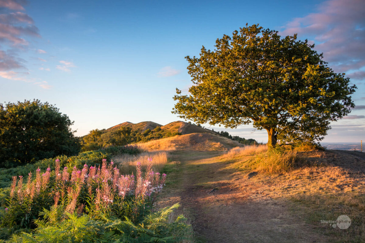 Sunset over the Malvern Hills and the lone tree near Black Hill