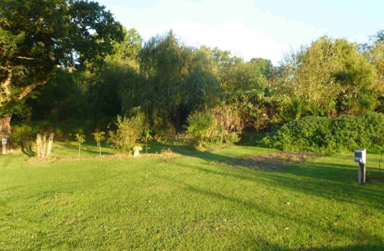 The Fishponds Touring Caravan Park 2