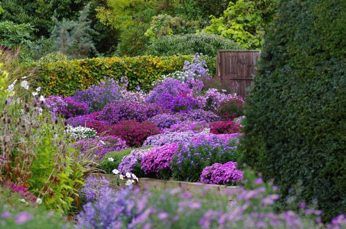 The Picton Garden Old Court Nurseries 2