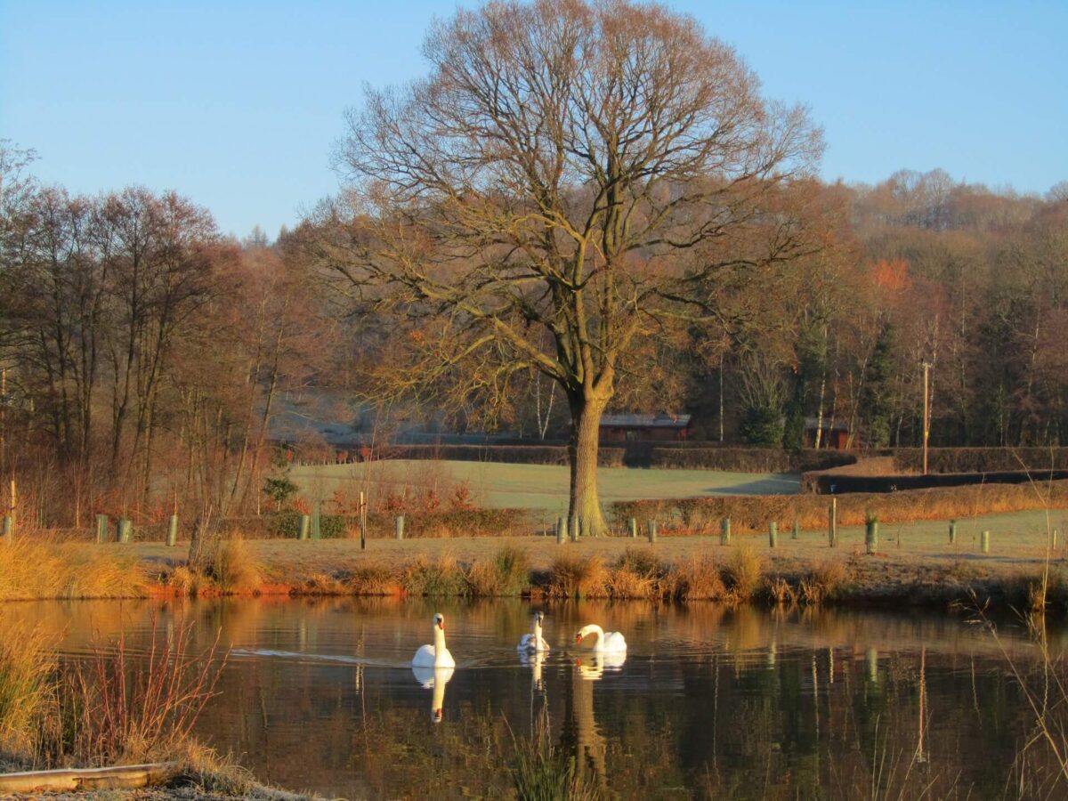 Woodside Lodges Country Park 5