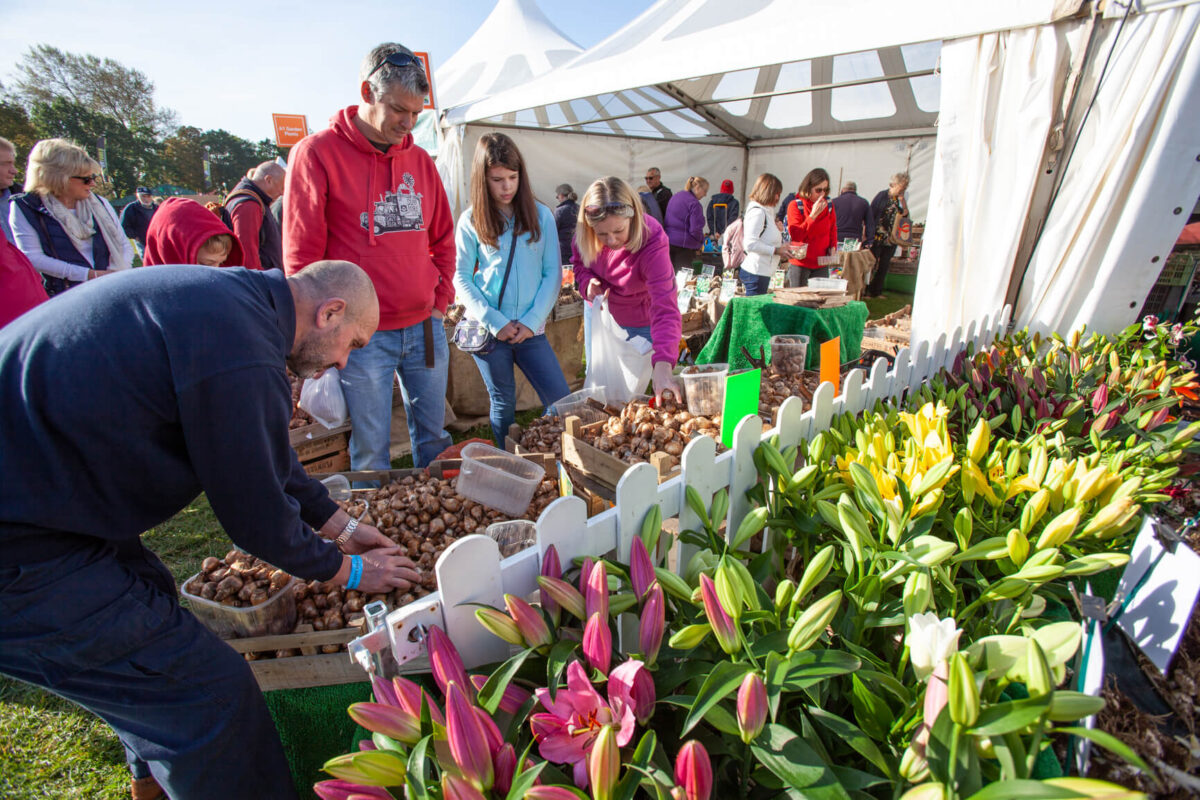 Malvern Autumn Show