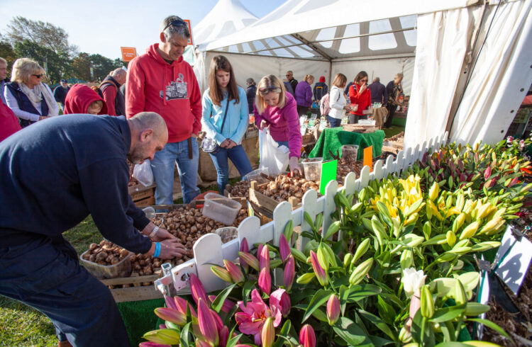 Malvern Autumn Show