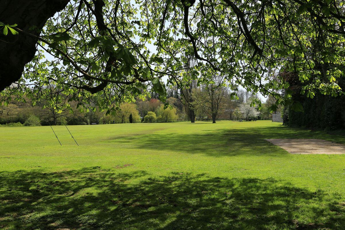 Grassy and wooded green area