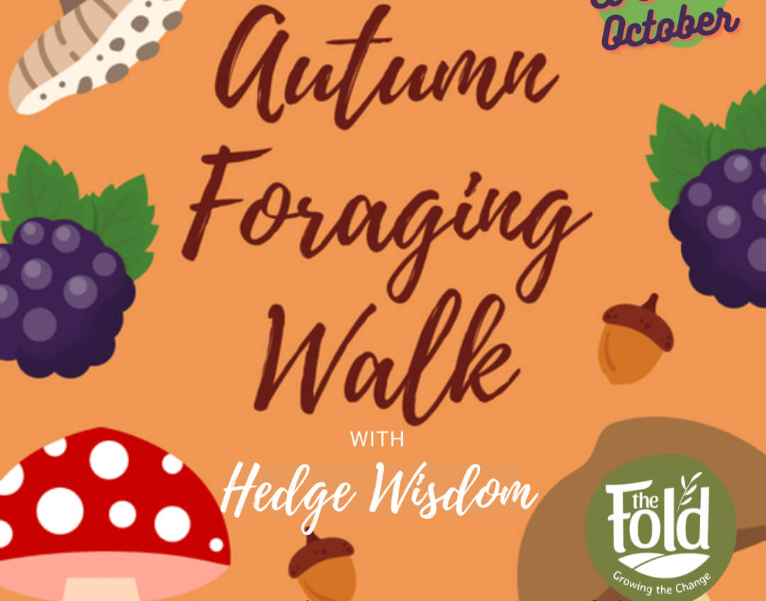 Autumn Foraging