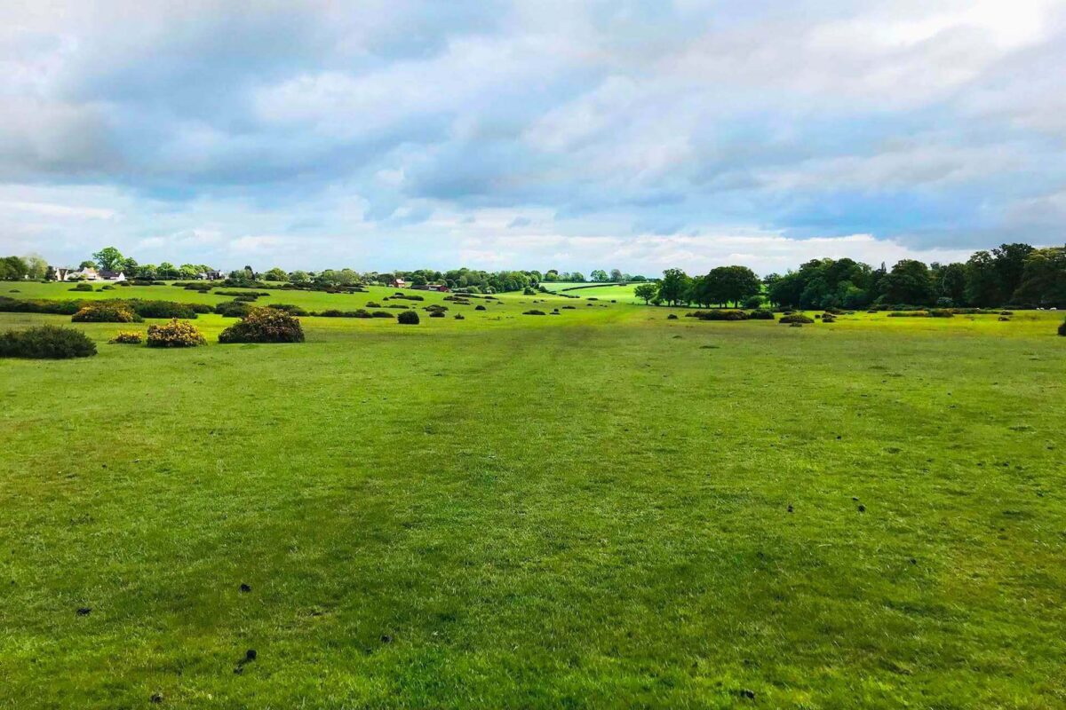 View on Kempsey Common Walk