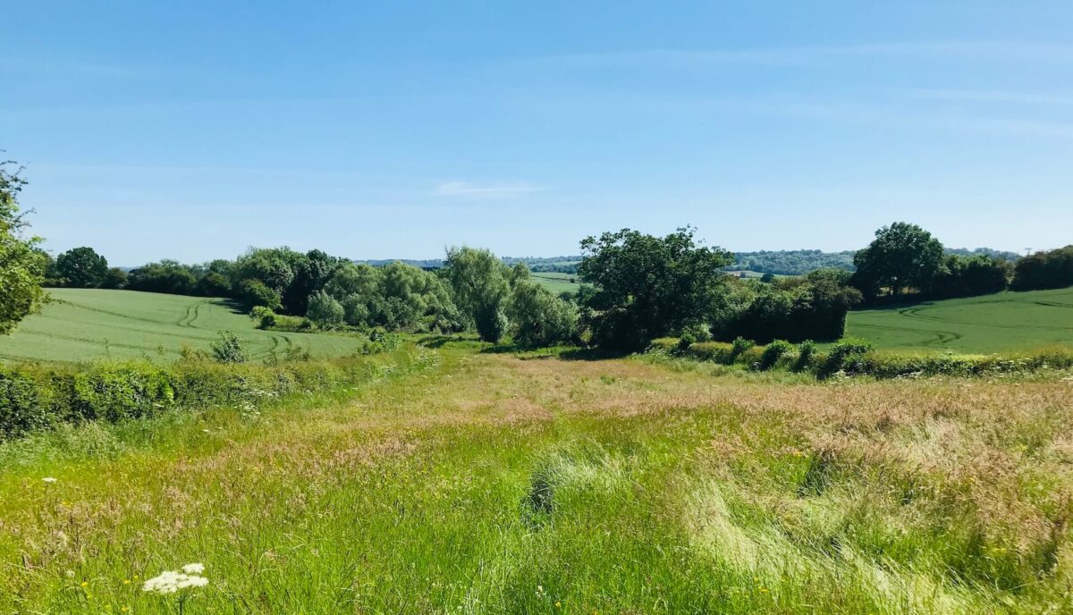 View of fields on the Tenbury & Kyrewood Walk