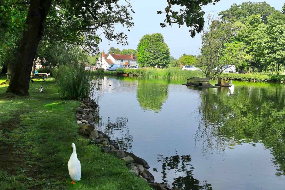 Hanley Swan Pond