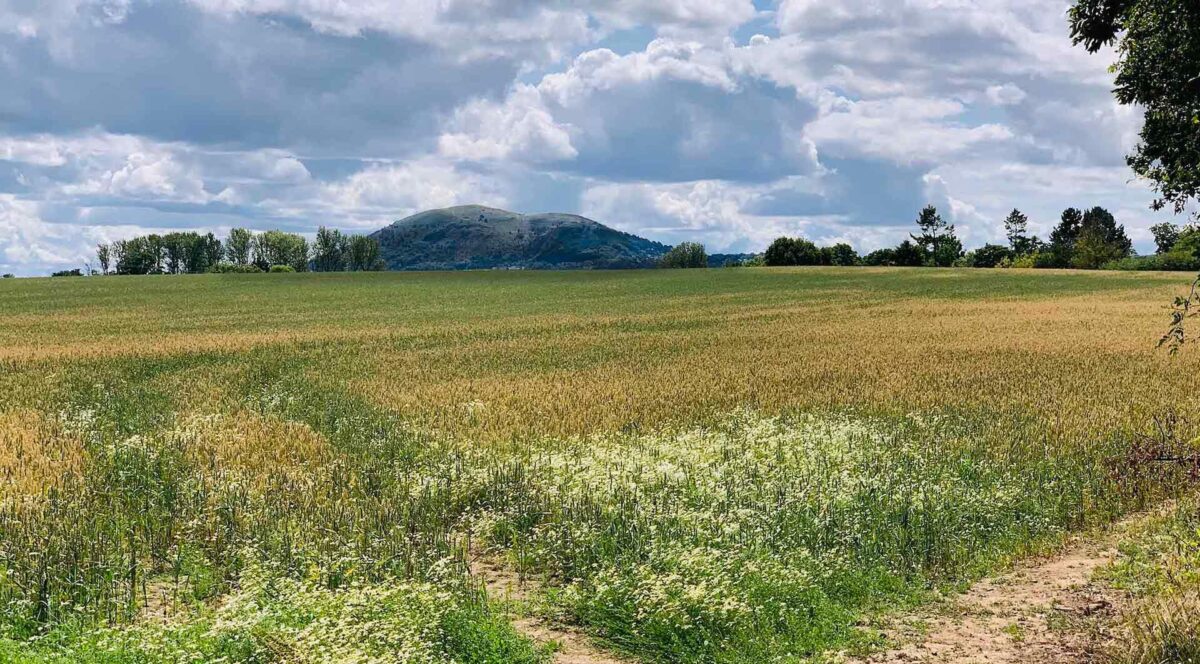 View of Malvern Hills