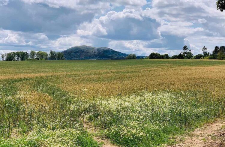 View of Malvern Hills