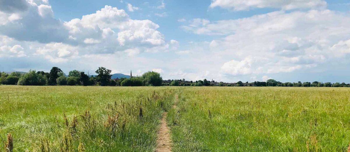 View of field on Upton Ham Walk