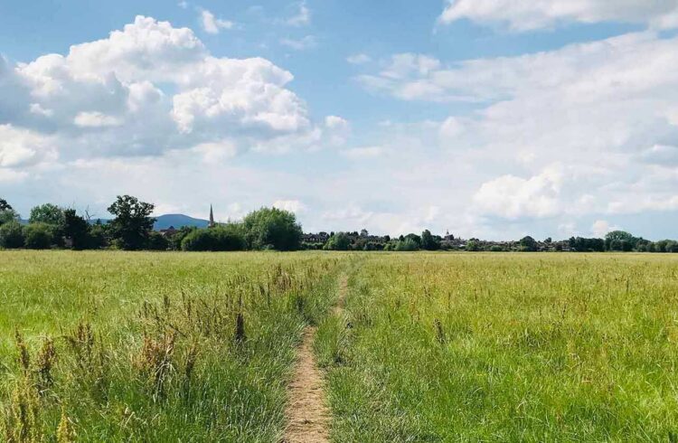 View of field on Upton Ham Walk