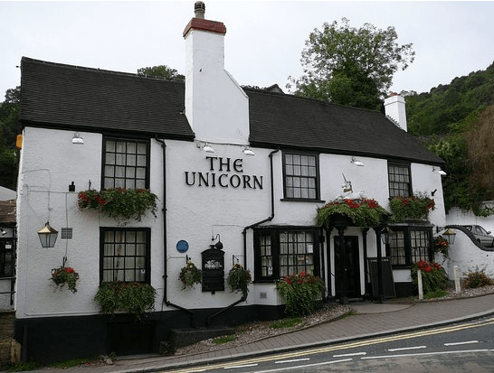 The Unicorn