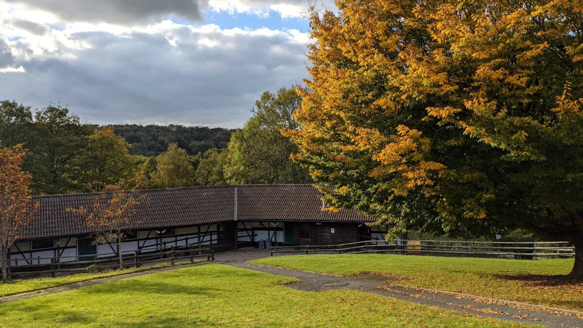 Outdoor view of accommodation with trees in foreground and background