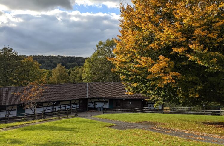 Outdoor view of accommodation with trees in foreground and background