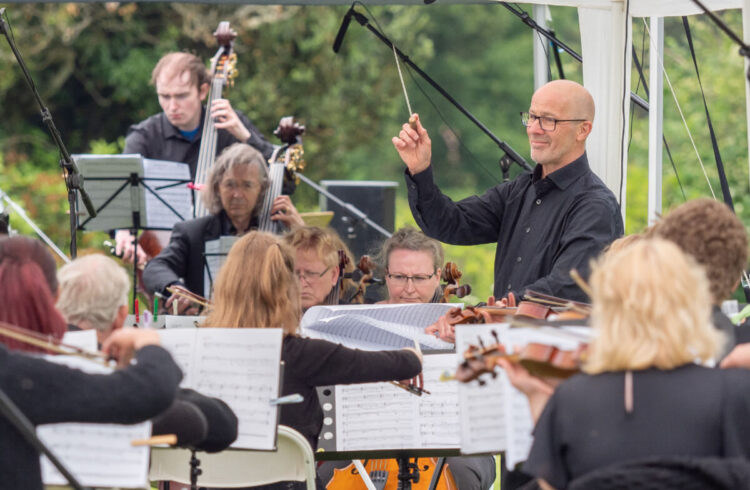 Conductor and orchestra