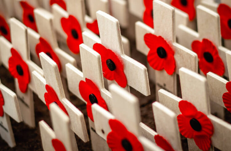 Lots of wooden crosses with poppies on them.