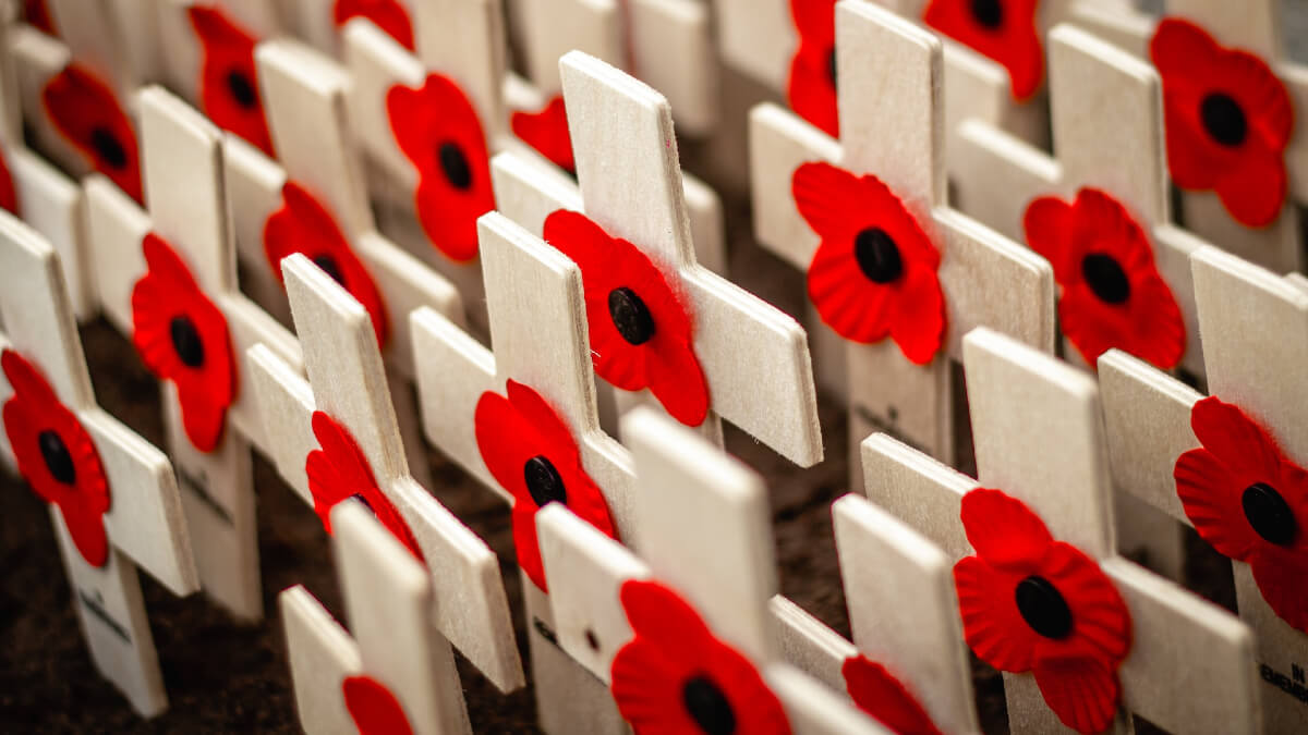 Lots of wooden crosses with poppies on them.