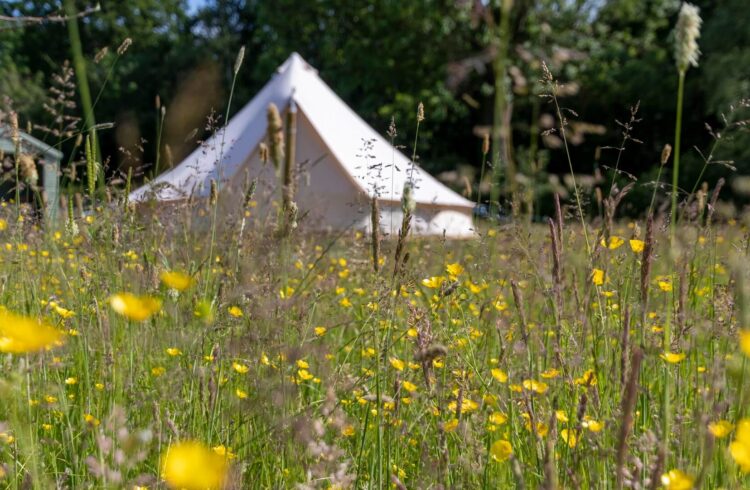 Bell tent with flowers and grasses in foreground