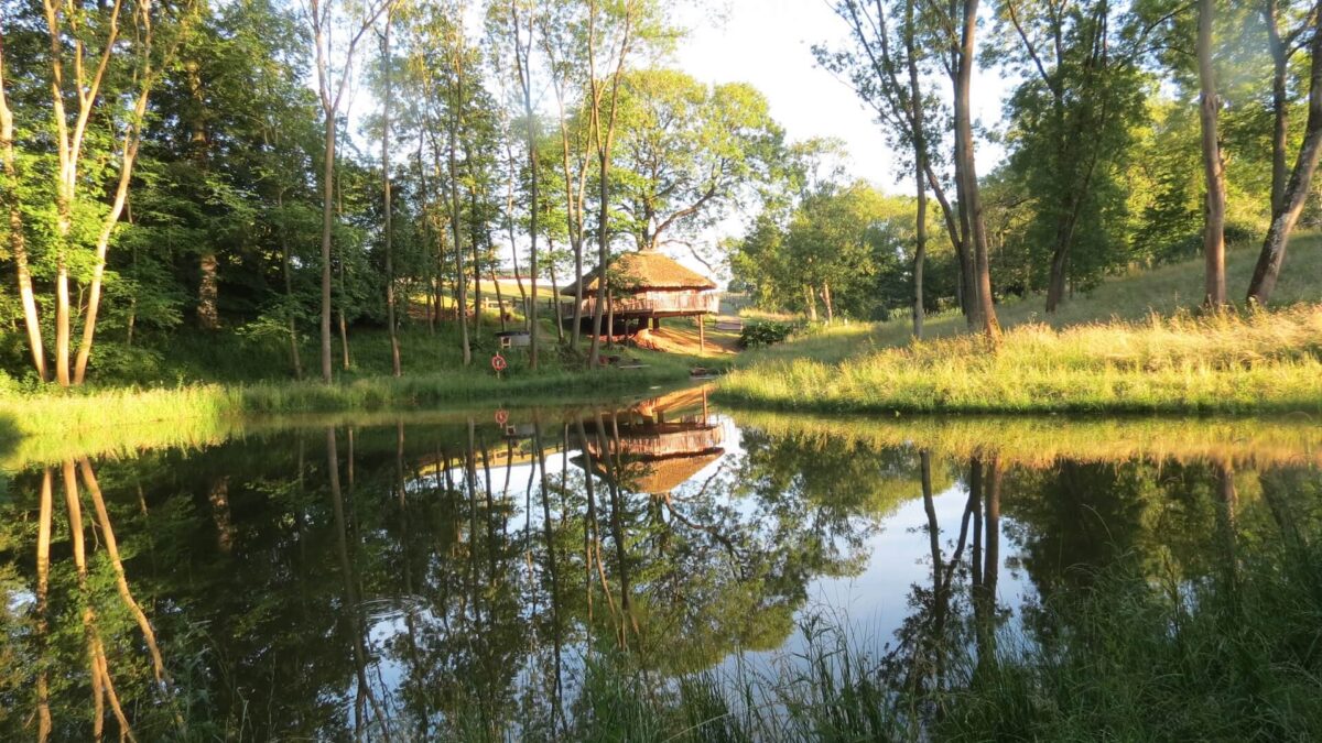 Treeopia treehouse reflected in pool, with trees all around