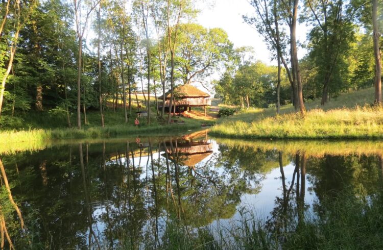 Treeopia treehouse reflected in pool, with trees all around