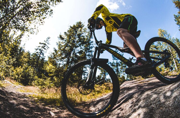 A man mountain biking through a forest