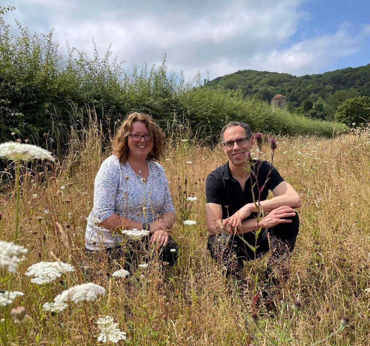 Wildflower field