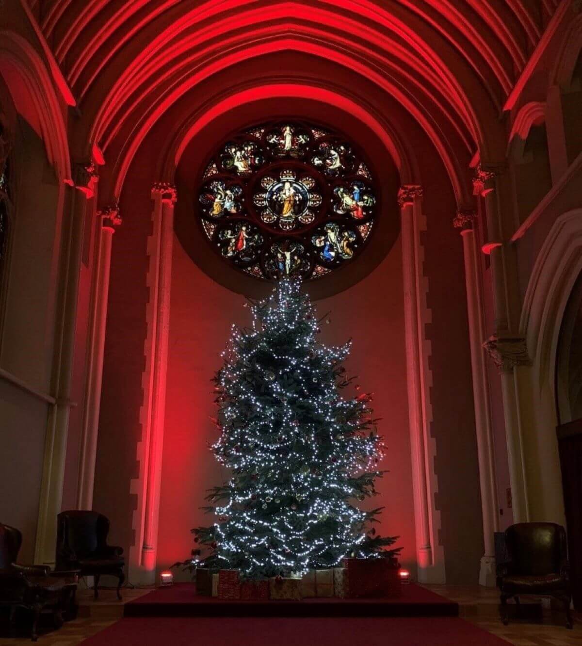 Powick Christmas Tree