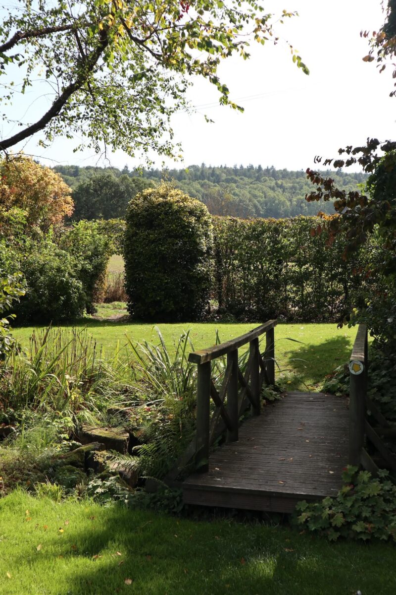 Two Churches and a Vineyard Walk