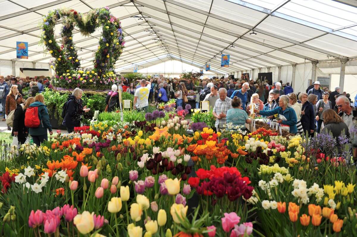 A marquee filled with thousands of flowers