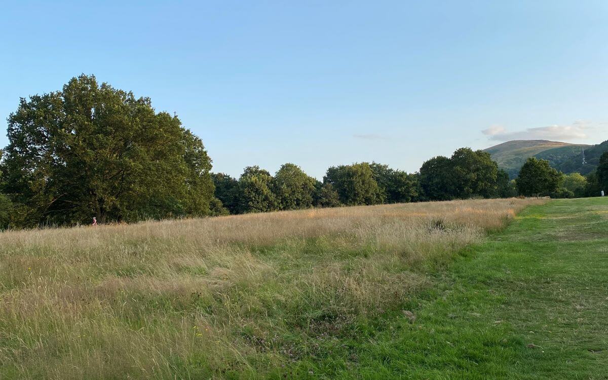 Malvern link common on a sunny summer day