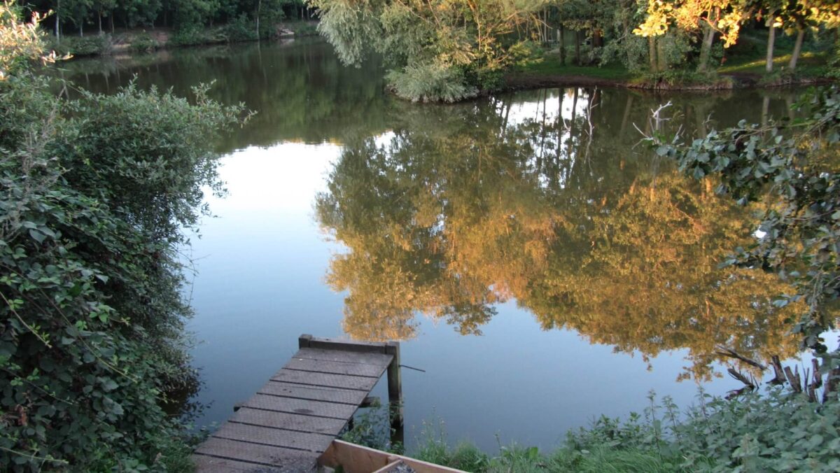 Trees reflected in fishing lake at Top Barn