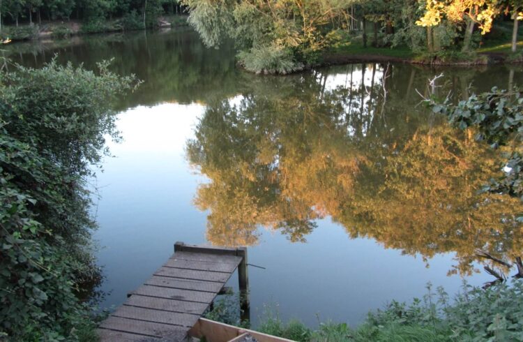 Trees reflected in fishing lake at Top Barn