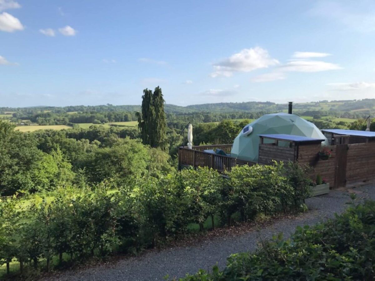 Transparent dome house in green countryside