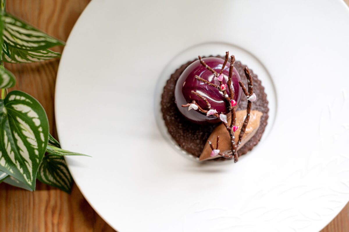 A chocolaty desert on a large white plate