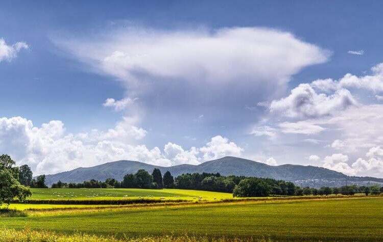 The Malvern Hills Silhouette